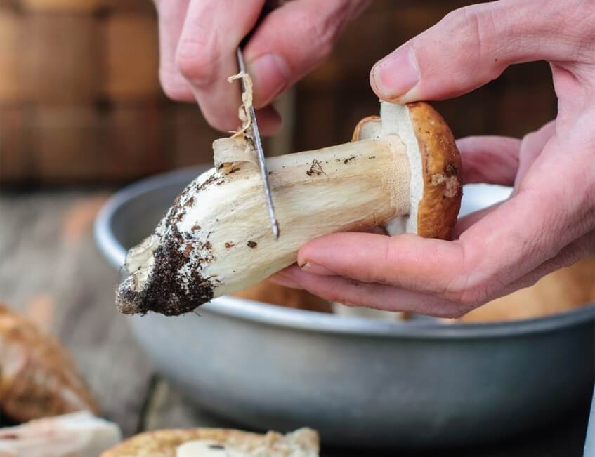 Bien nettoyer les champignons avant de les blanchir et les congeler