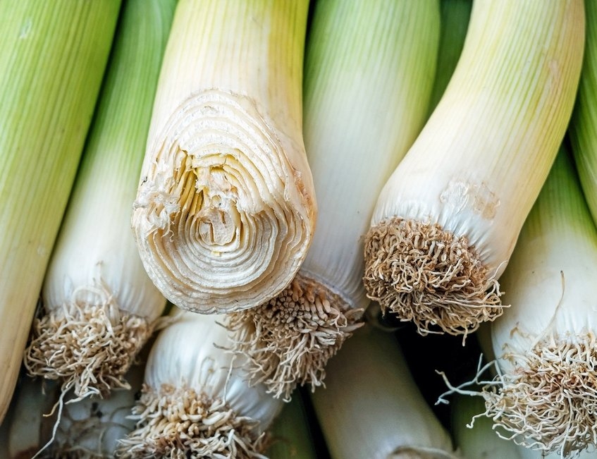 albal-poireaux-frais-avec-racines-content