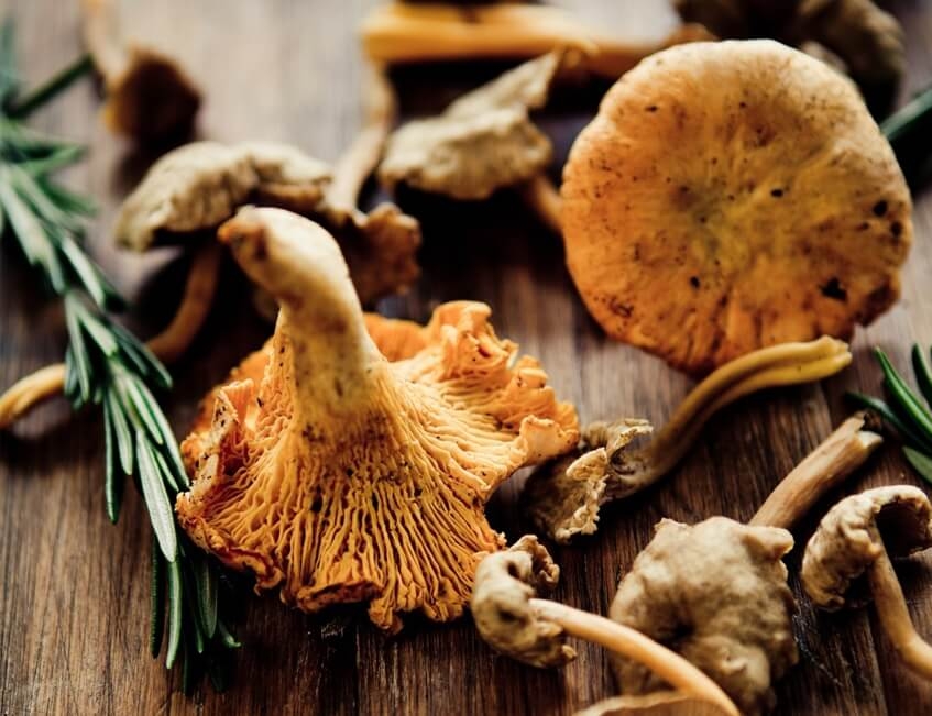 congeler séparément ou en bloc les champignons frais