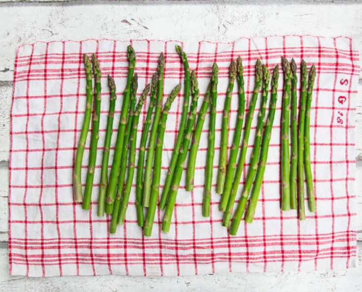 conservation des asperges