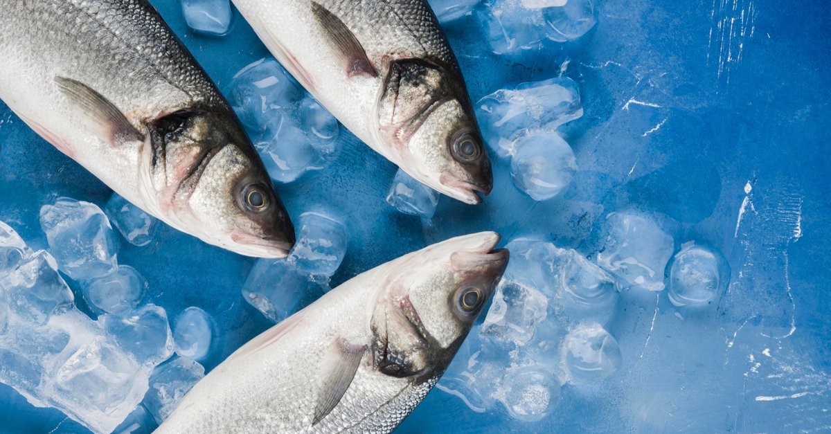 10 règles pour bien conserver et congeler le poisson Albal